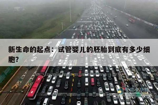 新生命的起点:试管婴儿的胚胎到底有多少细胞?