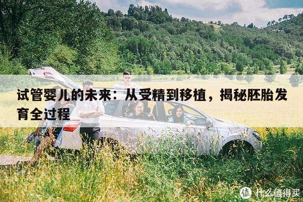 试管婴儿的未来:从受精到移植,揭秘胚胎发育全过程