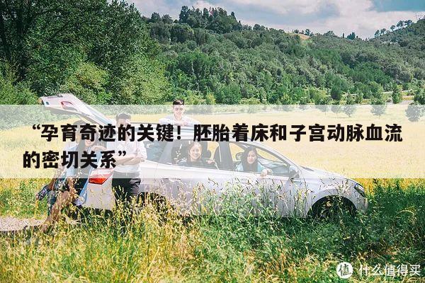 “孕育奇迹的关键!胚胎着床和子宫动脉血流的密切关系”