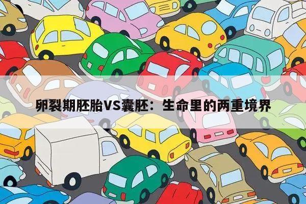 卵裂期胚胎VS囊胚:生命里的两重境界