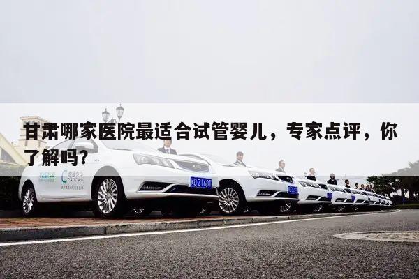 甘肃哪家医院最适合试管婴儿,专家点评,你了解吗?