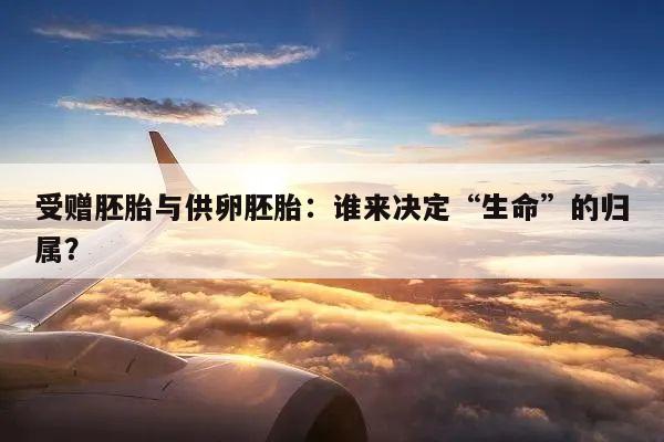 受赠胚胎与供卵胚胎:谁来决定“生命”的归属?