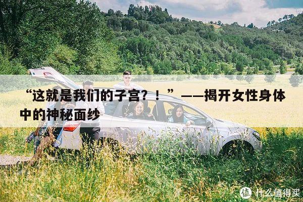 “这就是我们的子宫?!”——揭开女性身体中的神秘面纱