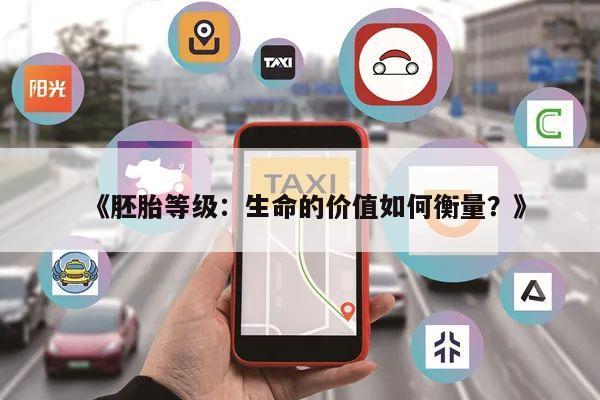 《胚胎等级:生命的价值如何衡量?》