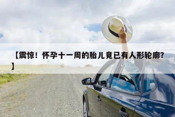 【震惊!怀孕十一周的胎儿竟已有人形轮廓?】
