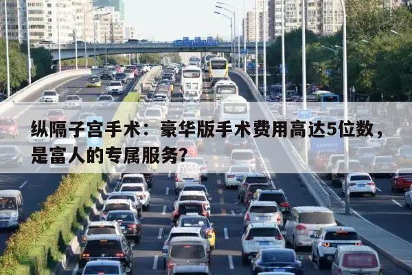 纵隔子宫手术:豪华版手术费用高达5位数,是富人的专属服务?