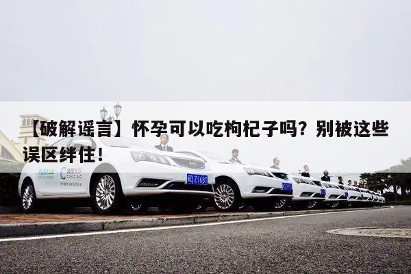 【破解谣言】怀孕可以吃枸杞子吗？别被这些误区绊住！