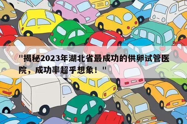 "揭秘2023年湖北省最成功的供卵试管医院，成功率超乎想象！"