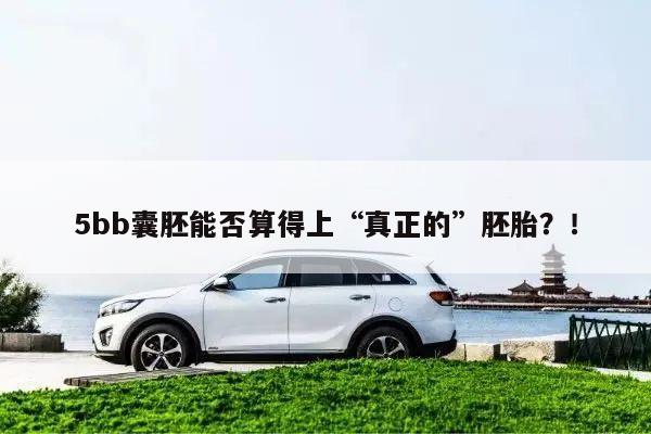5bb囊胚能否算得上“真正的”胚胎？！
