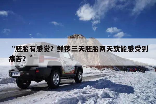 “胚胎有感觉?鲜移三天胚胎两天就能感受到痛苦?”