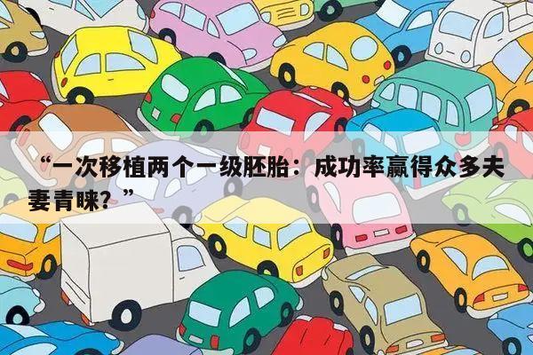 “一次移植两个一级胚胎:成功率赢得众多夫妻青睐?”