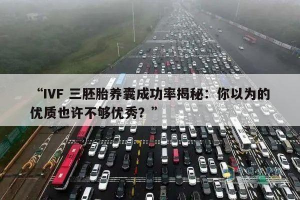 “IVF 三胚胎养囊成功率揭秘:你以为的优质也许不够优秀?”