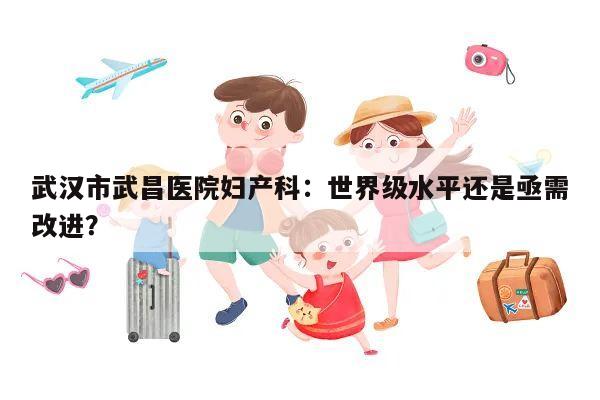 武汉市武昌医院妇产科:世界级水平还是亟需改进?