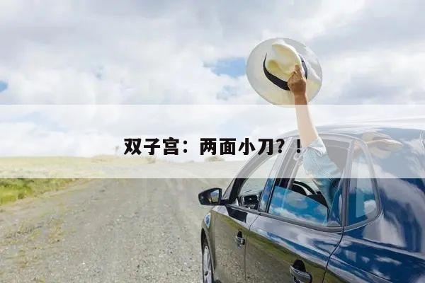 双子宫:两面小刀?!