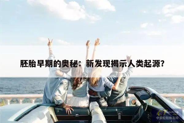 胚胎早期的奥秘:新发现揭示人类起源?