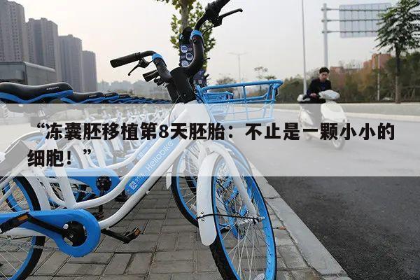 “冻囊胚移植第8天胚胎:不止是一颗小小的细胞!”