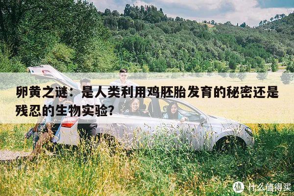 卵黄之谜:是人类利用鸡胚胎发育的秘密还是残忍的生物实验?