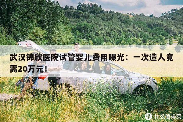 武汉锦欣医院试管婴儿费用曝光:一次造人竟需20万元!