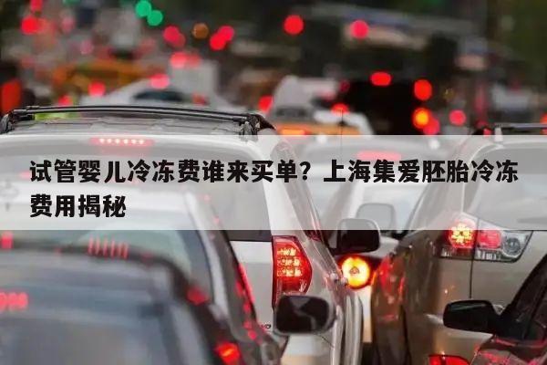 试管婴儿冷冻费谁来买单?上海集爱胚胎冷冻费用揭秘
