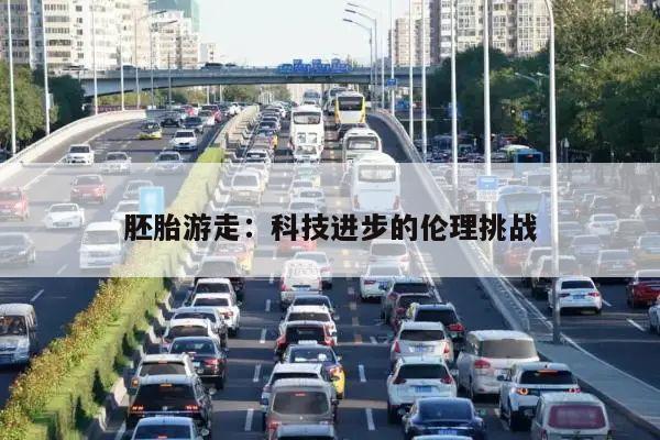 胚胎游走：科技进步的伦理挑战