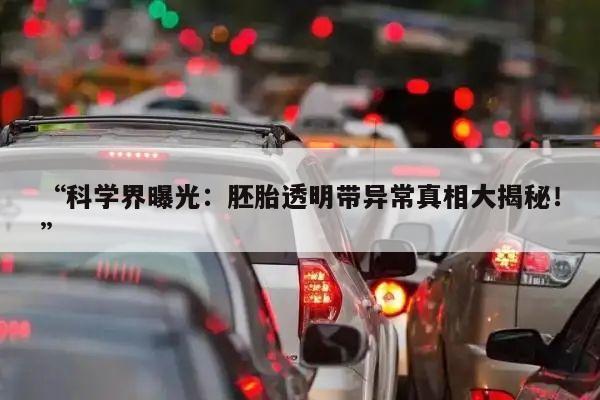 “科学界曝光:胚胎透明带异常真相大揭秘!”