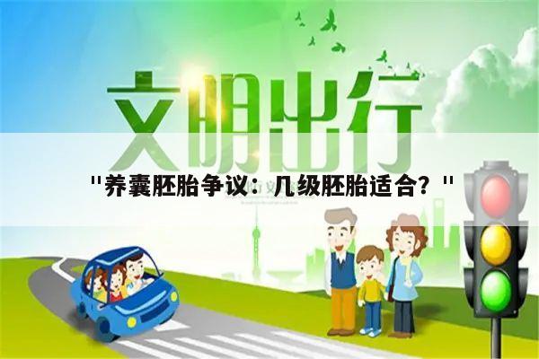 "养囊胚胎争议：几级胚胎适合？"