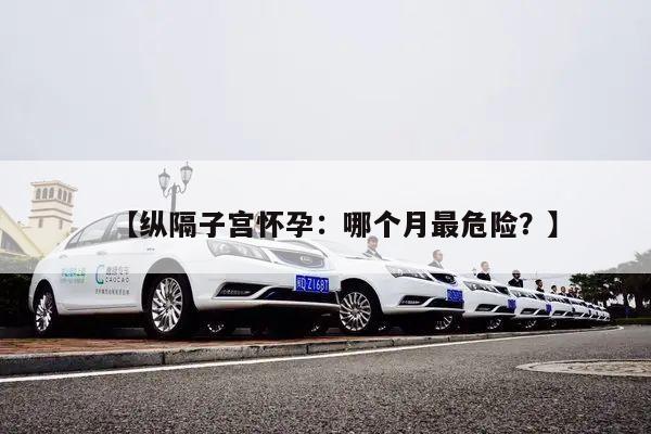 【纵隔子宫怀孕:哪个月最危险?】