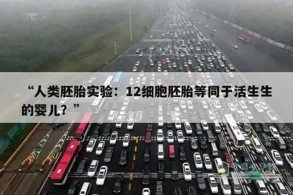 “人类胚胎实验:12细胞胚胎等同于活生生的婴儿?”