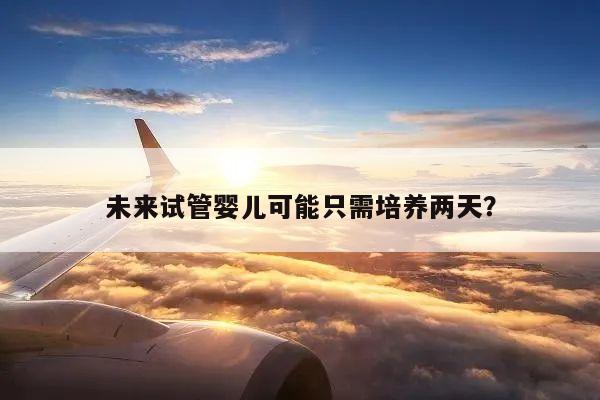 未来试管婴儿可能只需培养两天?