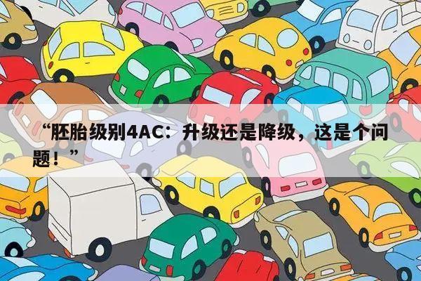 “胚胎级别4AC:升级还是降级,这是个问题!”