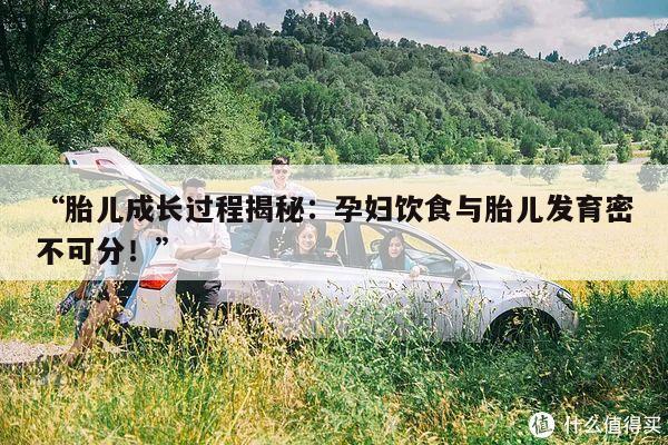 “胎儿成长过程揭秘:孕妇饮食与胎儿发育密不可分!”