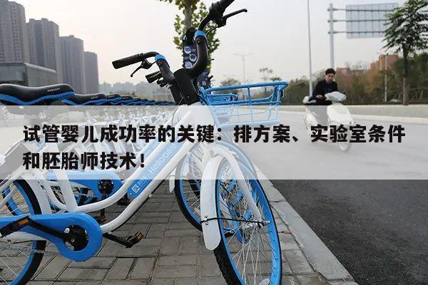试管婴儿成功率的关键：排方案、实验室条件和胚胎师技术！
