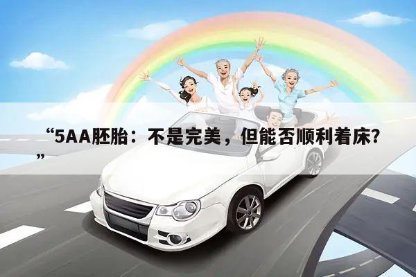 “5AA胚胎:不是完美,但能否顺利着床?”