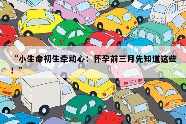 小生命初生牵动心:怀孕前三月先知道这些!