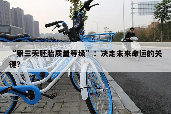 “第三天胚胎质量等级”：决定未来命运的关键？