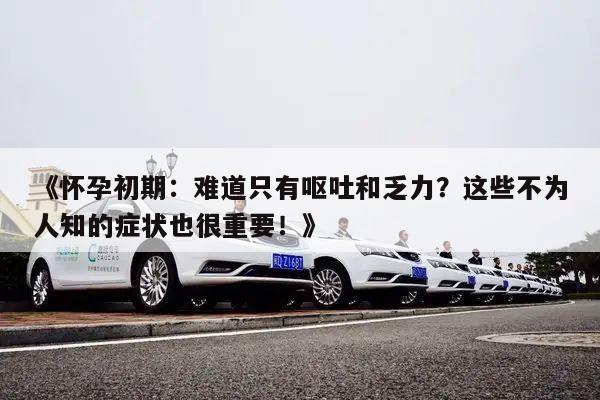 《怀孕初期:难道只有呕吐和乏力?这些不为人知的症状也很重要!》
