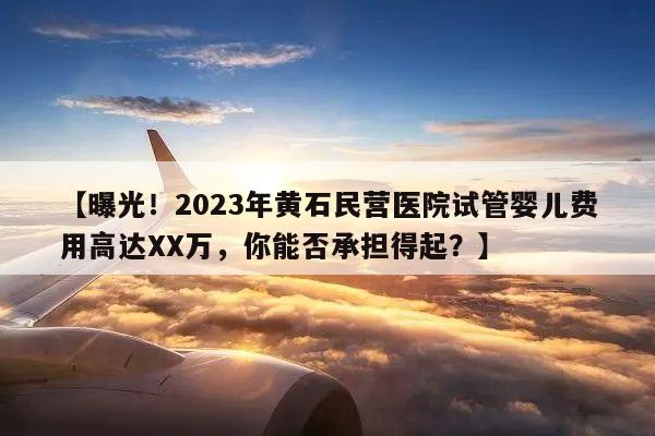 曝光！2023年黄石民营医院试管婴儿费用高达XX万，你能否承担得起？