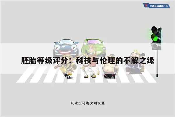 胚胎等级评分:科技与伦理的不解之缘