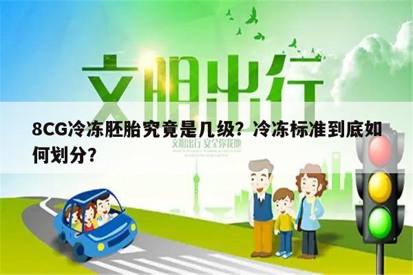8CG冷冻胚胎究竟是几级？冷冻标准到底如何划分？