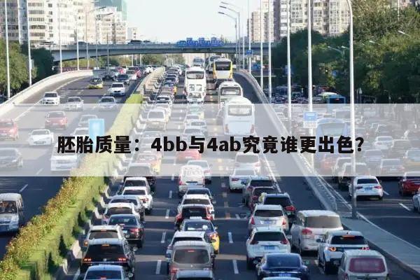 胚胎质量：4bb与4ab究竟谁更出色？