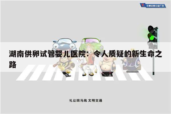 湖南供卵试管婴儿医院:令人质疑的新生命之路