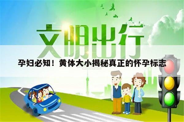 孕妇必知！黄体大小揭秘真正的怀孕标志