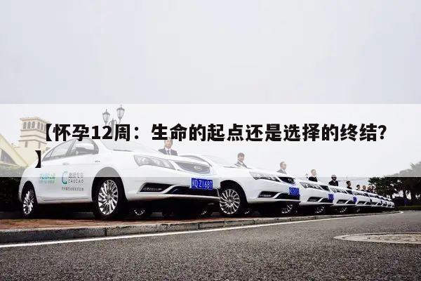 【怀孕12周:生命的起点还是选择的终结?】