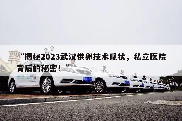“揭秘2023武汉供卵技术现状,私立医院背后的秘密!”