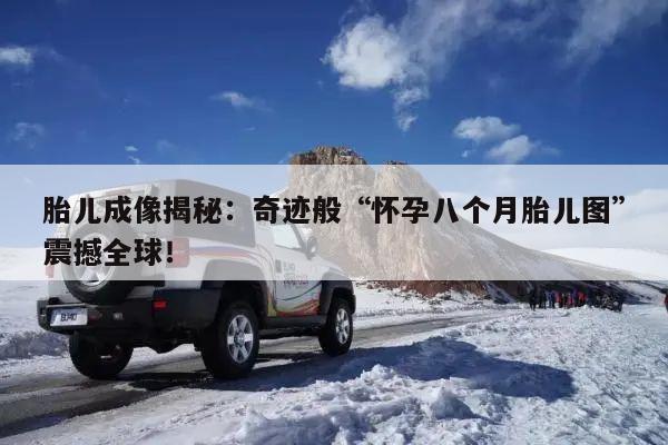 胎儿成像揭秘:奇迹般“怀孕八个月胎儿图”震撼全球!