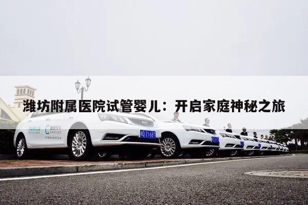 潍坊附属医院试管婴儿:开启家庭神秘之旅