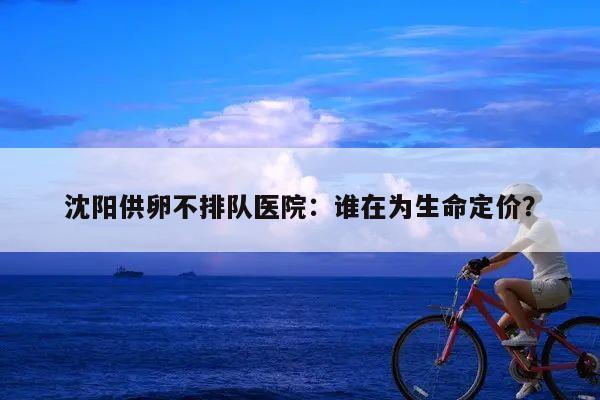 沈阳供卵不排队医院:谁在为生命定价?