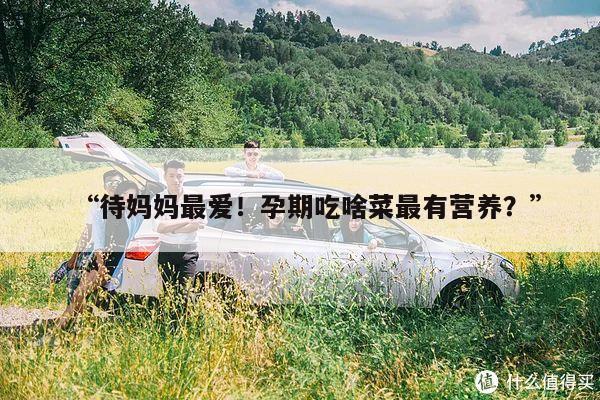 待妈妈最爱！孕期吃啥菜最有营养？
