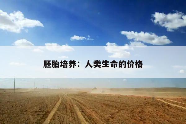 胚胎培养:人类生命的价格