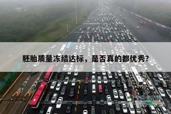 胚胎质量冻结达标,是否真的都优秀?